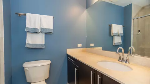 Bath - 225 S Sangamon St #911, Chicago, IL 60607 photo 1 of 3