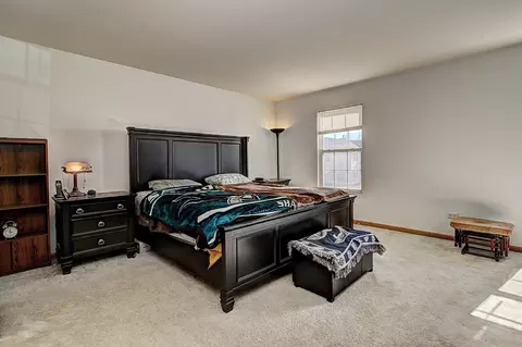 6005 Blackberry Rdg, Plainfield, IL 60586 photo 8