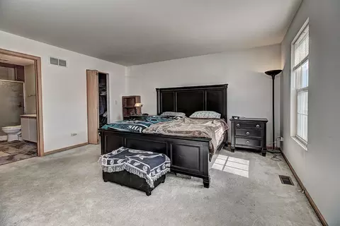 6005 Blackberry Rdg, Plainfield, IL 60586 photo 9