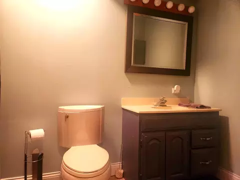 Bath - 16492 Barton Ln, Oak Forest, IL 60452 photo 3 of 5
