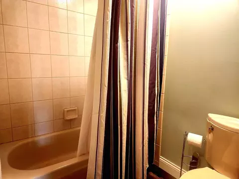Bath - 16492 Barton Ln, Oak Forest, IL 60452 photo 4 of 5