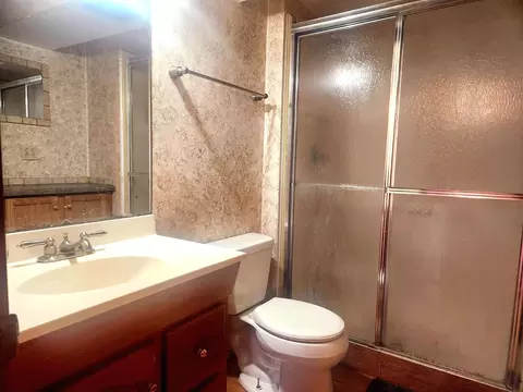 Bath - 16492 Barton Ln, Oak Forest, IL 60452 photo 5 of 5