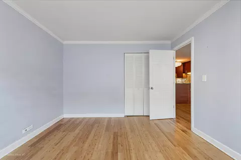 Other - 222 E Pearson St #2005, Chicago, IL 60611 photo 7 of 7