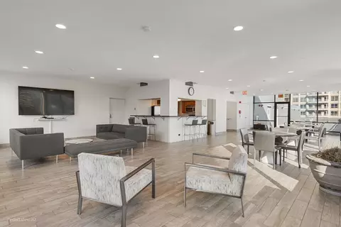 Living - 222 E Pearson St #2005, Chicago, IL 60611 photo 2 of 2