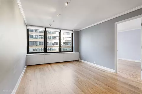 Other - 222 E Pearson St #2005, Chicago, IL 60611 photo 4 of 7