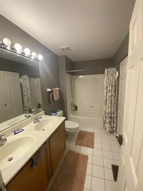 Bath - 1245 Horseshoe Ln, Bartlett, IL 60103 photo 2 of 4