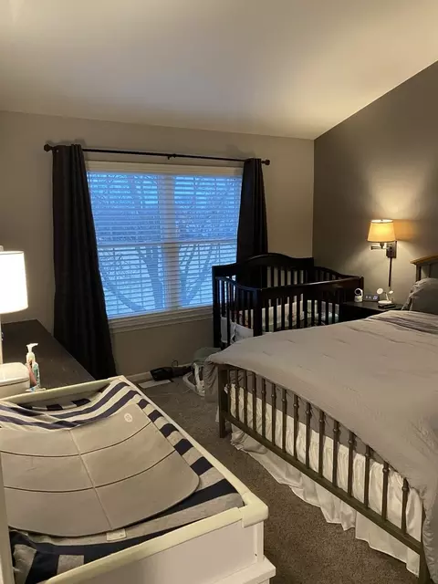 Bedroom - 1245 Horseshoe Ln, Bartlett, IL 60103 photo 1 of 6