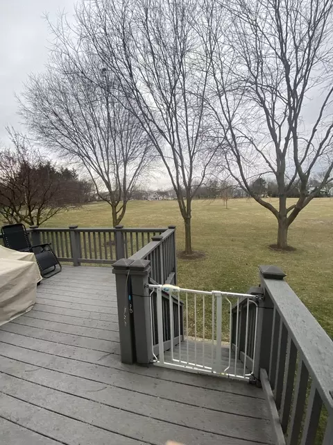 Exterior - 1245 Horseshoe Ln, Bartlett, IL 60103 photo 4 of 6