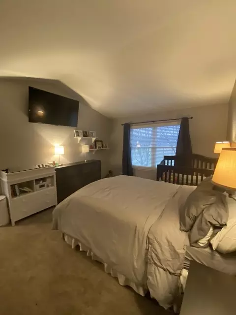 Bedroom - 1245 Horseshoe Ln, Bartlett, IL 60103 photo 3 of 6
