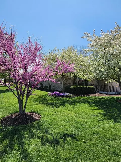 Exterior - 201 Boulder Dr, Morris, IL 60450 photo 4 of 7