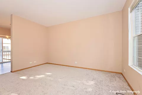 31593 Tallgrass Ct, Lakemoor, IL 60051 photo 9
