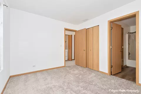 31593 Tallgrass Ct, Lakemoor, IL 60051 photo 14