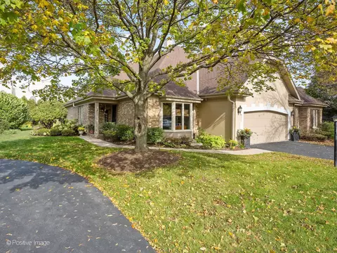 Exterior - 24 Pine Tree Ln, Burr Ridge, IL 60527 photo 12 of 13