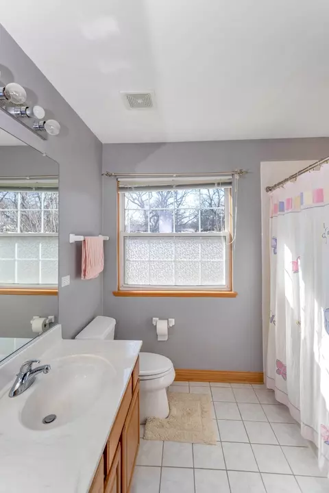 Bath - 617 Olive Pkwy, Bartlett, IL 60103 photo 5 of 7