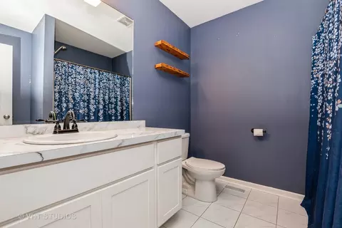 Bath - 441 Tramore Ave, Beecher, IL 60401 photo 2 of 3