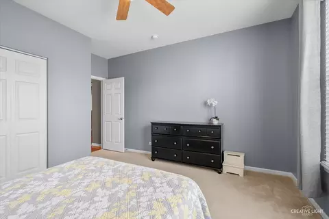 248 Sonora Dr, Elgin, IL 60124 photo 21