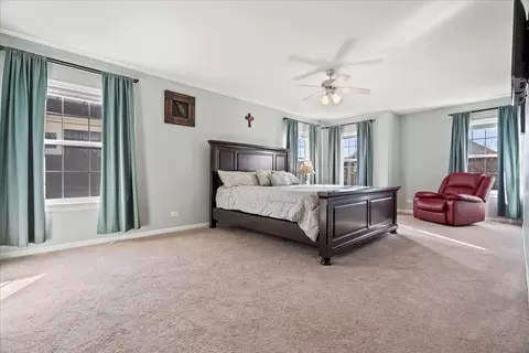 Bedroom - 12517 Kildare Dr, Plainfield, IL 60585 photo 6 of 6