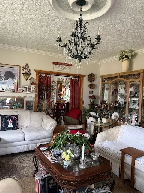 Living - 2665 E Sherrill Rd, Minooka, IL 60447 photo 5 of 9