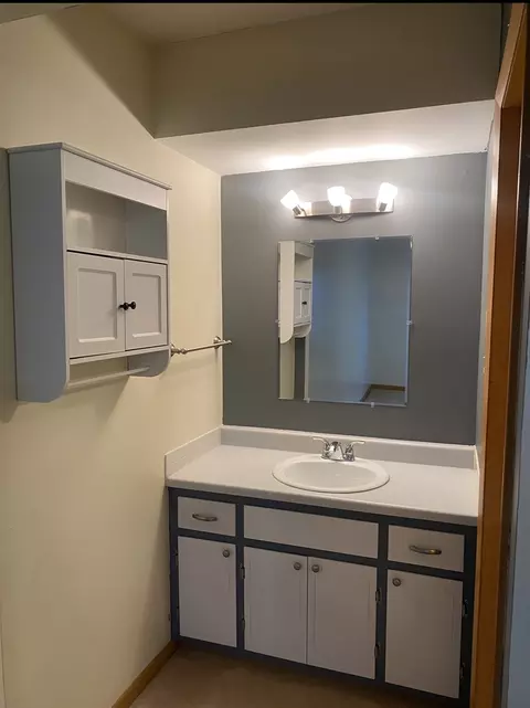 18203 Exchange Ave #4, Lansing, IL 60438 photo 8