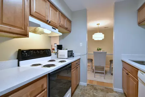 Kitchen - 1480 Stonebridge Cir #D2, Wheaton, IL 60189 photo 5 of 5
