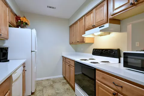 Kitchen - 1480 Stonebridge Cir #D2, Wheaton, IL 60189 photo 2 of 5