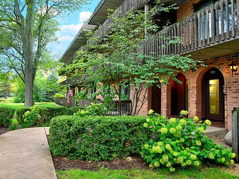444 Redondo Dr #201, Downers Grove, IL 60516