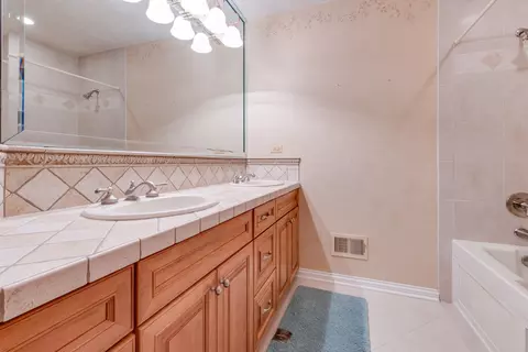 Bath - 920 Auburn Ln, Bartlett, IL 60103 photo 7 of 8