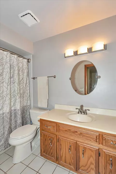 Bath - 15563 W Eamon Ct, Manhattan, IL 60442 photo 3 of 4