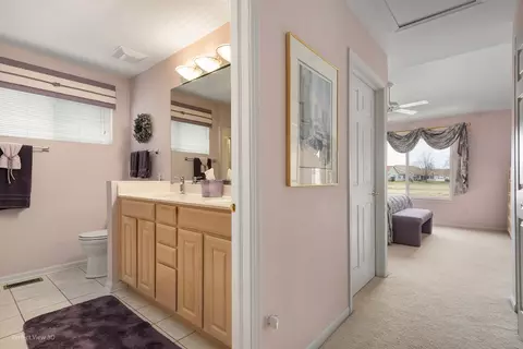 21462 W Larch Dr, Plainfield, IL 60544 photo 18