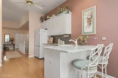 21462 W Larch Dr, Plainfield, IL 60544 photo 9
