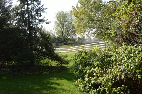 Other - 31 W121 Grove Pl, Wayne, IL 60184 photo 4 of 7