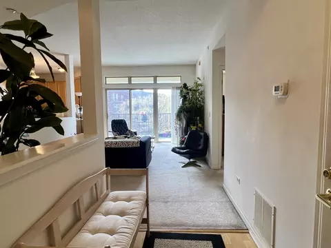Entry Way - 715 Astor Ln #403, Wheeling, IL 60090 photo 1 of 2