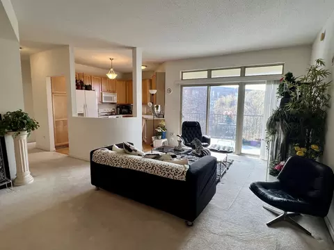Living - 715 Astor Ln #403, Wheeling, IL 60090 photo 1 of 2