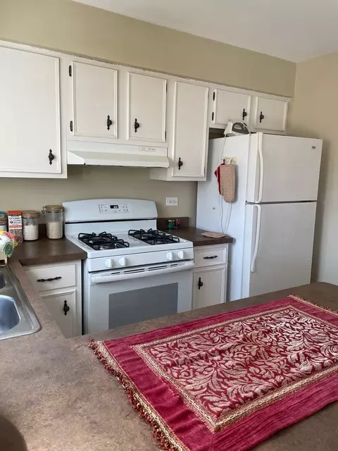 8905 Plainfield Rd, Brookfield, IL 60513 photo 4