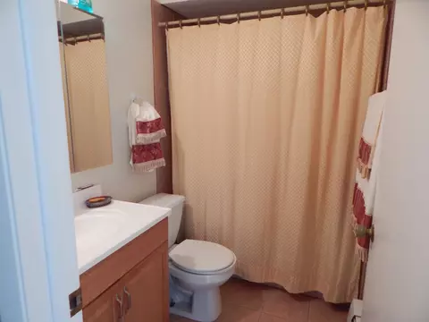 8905 Plainfield Rd, Brookfield, IL 60513 photo 9