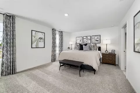 Bedroom - 6703 Daly Ln, Plainfield, IL 60586 photo 2 of 5