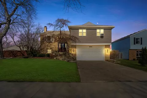 Exterior - 824 W Appletree Ln, Bartlett, IL 60103 photo 2 of 12