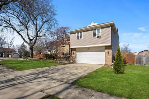 Exterior - 824 W Appletree Ln, Bartlett, IL 60103 photo 12 of 12