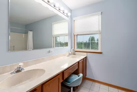 19154 Crescent Dr, Mokena, IL 60448 photo 17
