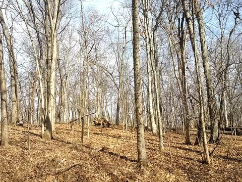 lot1808 Tanglewood Dr, Varna, IL 61375