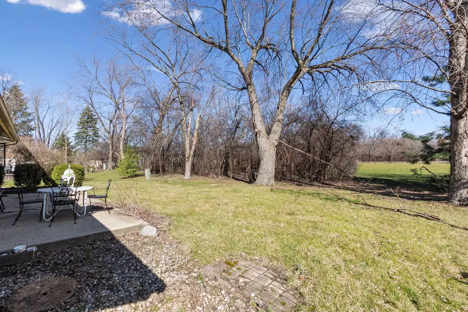 Exterior - 1331 Carlisle Ave, Elk Grove Village, IL 60007 photo 5 of 6