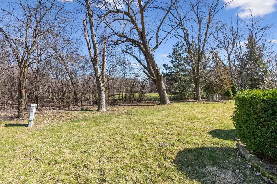 Exterior - 1331 Carlisle Ave, Elk Grove Village, IL 60007 photo 6 of 6