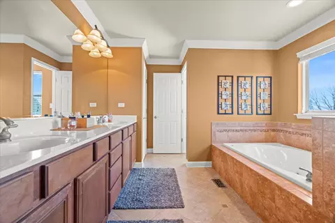 Bath - 13428 Skyline Dr, Plainfield, IL 60585 photo 3 of 5