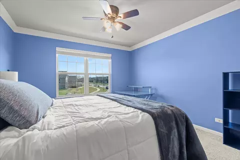 Bedroom - 13428 Skyline Dr, Plainfield, IL 60585 photo 2 of 5