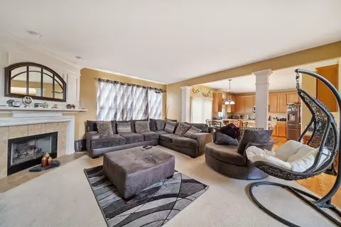Living - 12605 Blue Iris Ln, Plainfield, IL 60585 photo 2 of 4