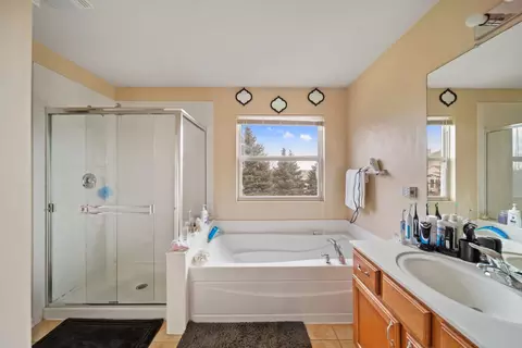 Bath - 12605 Blue Iris Ln, Plainfield, IL 60585 photo 2 of 4