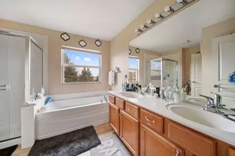 Bath - 12605 Blue Iris Ln, Plainfield, IL 60585 photo 3 of 4