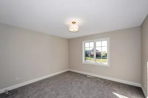 Other - 23069 Devonshire Ln, Frankfort, IL 60423 photo 24 of 43