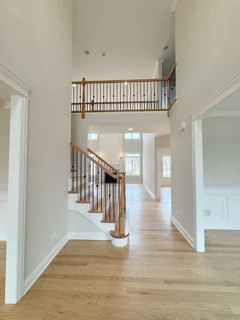 Entry Way - 23069 Devonshire Ln, Frankfort, IL 60423 photo 1 of 2