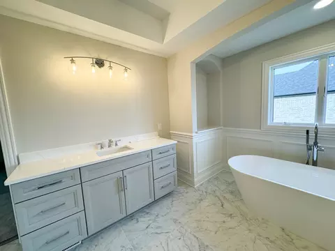 Bath - 23069 Devonshire Ln, Frankfort, IL 60423 photo 3 of 5